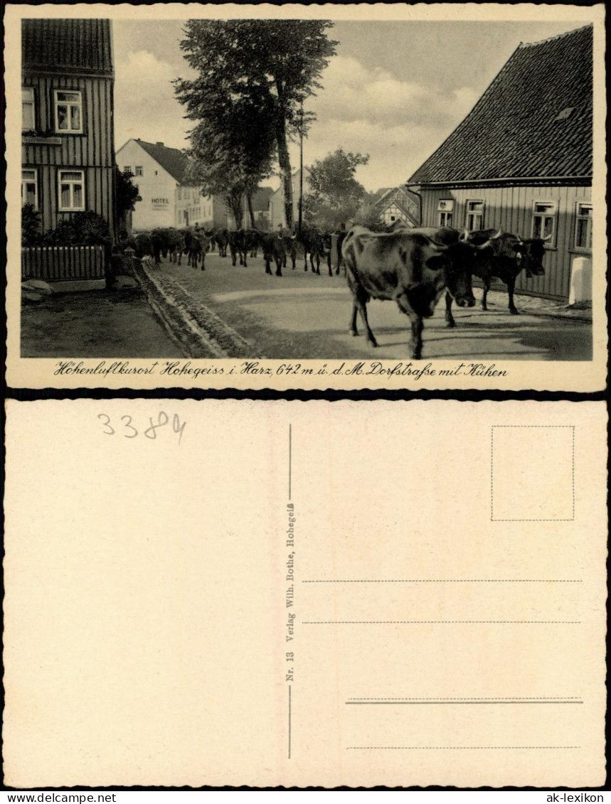 Ansichtskarte Hohegeiß-Braunlage Dorfstrasse Mit Kühen 1940 - Braunlage