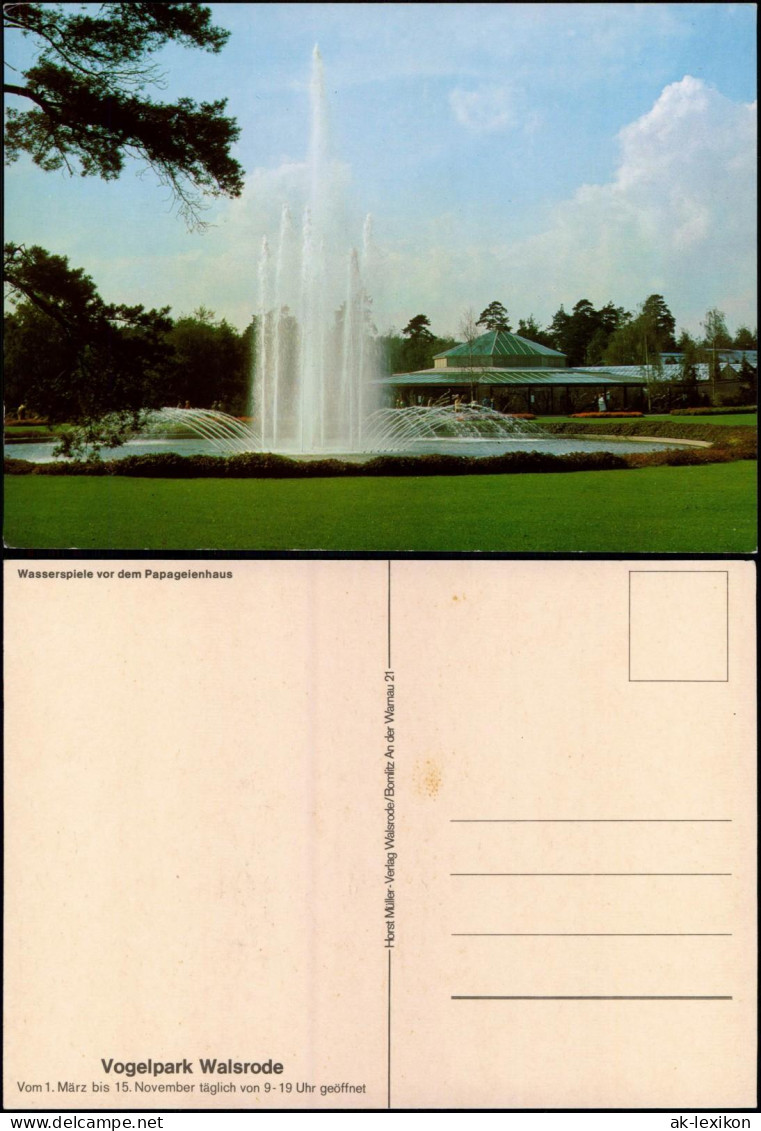 Walsrode Wasserspiele Vor Dem Papageienhaus Vogelpark Walsrode 1970 - Walsrode