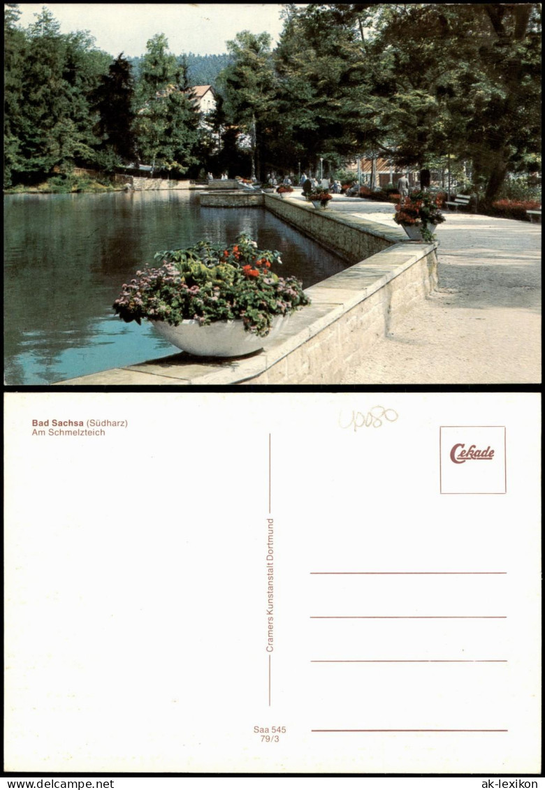 Ansichtskarte Bad Sachsa Am Schmelzteich 1979 - Bad Sachsa
