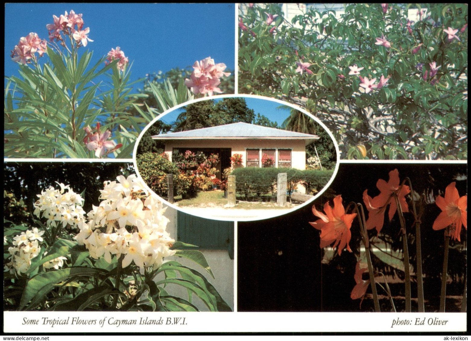 George Town (Cayman Islands) Cayman Islands Mehrbild Haus Blumen 1989 - Gibraltar