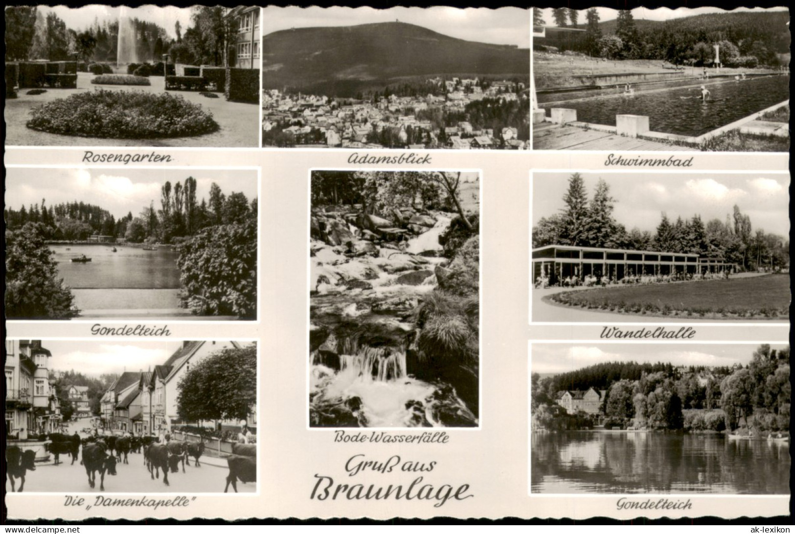 Braunlage Mehrbild-AK Schwimmbad Gondelteich Rosengarten Wandelhalle 1961 - Braunlage