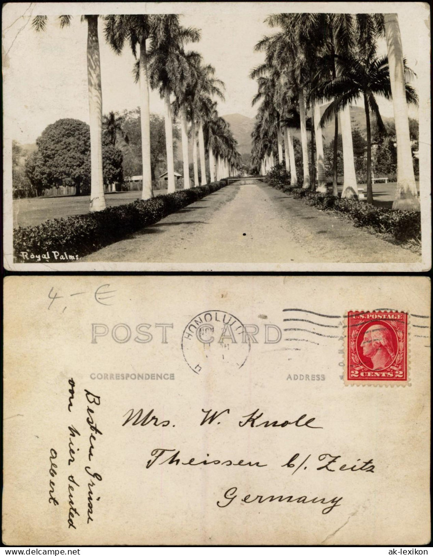 Postcard Honolulu Royal Palms Street View Palmen Allee 1920    Stempel HONOLULU - Otros & Sin Clasificación