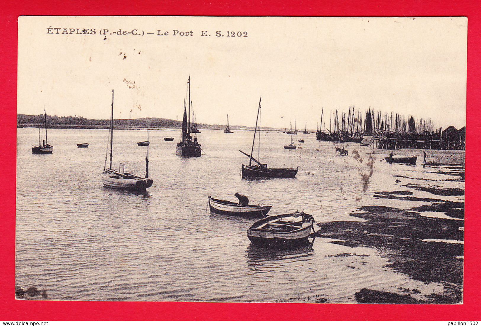 F-62-Etaples-01P43 Le Port, Les Barques, Cpa BE - Etaples