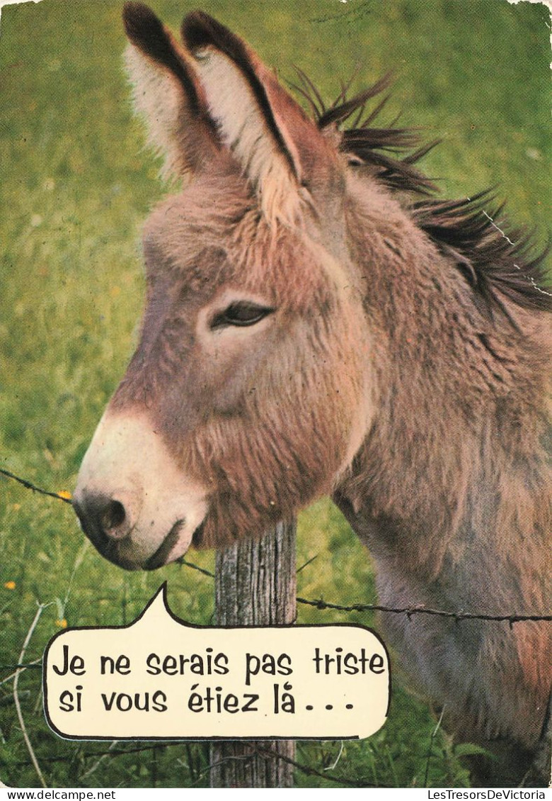 ANIMAUX & FAUNE - Anes - Je Ne Serai Pas Triste Si Vous étiez Là... - Carte Postale Ancienne - Donkeys