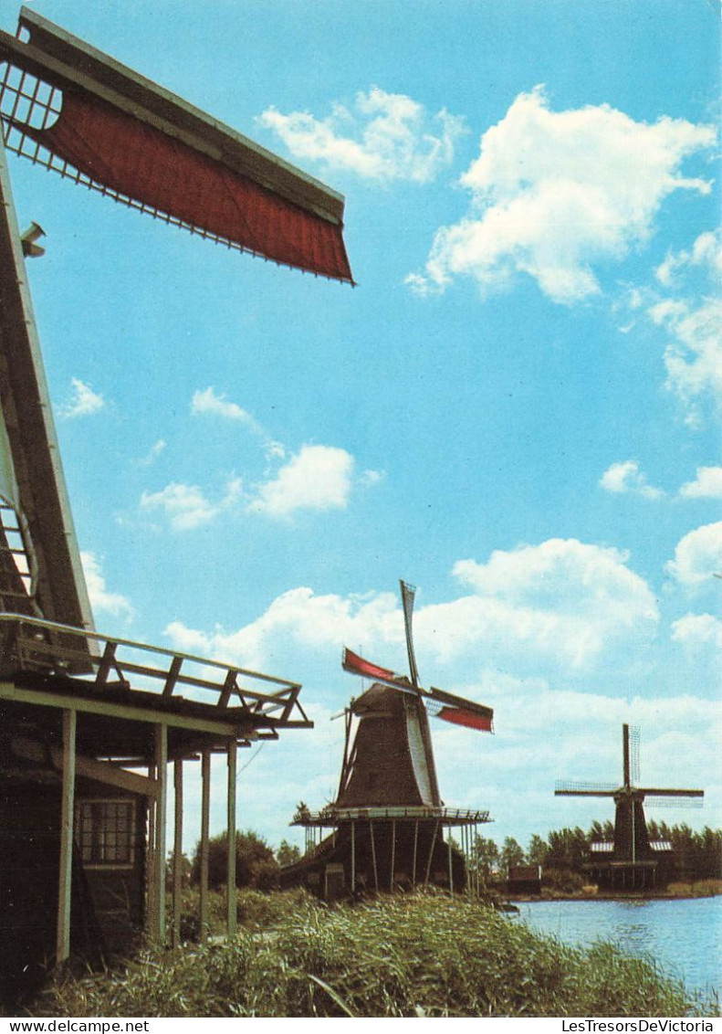 BELGIQUE - Molens - Dutch Windmills - Hollânsdische Muhlen - Des Moulins Hollandais - Carte Postale Ancienne - Leuven