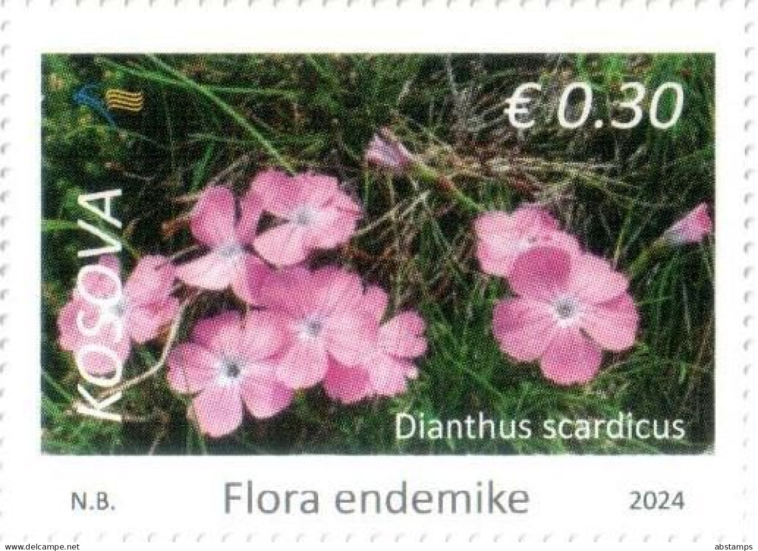 Kosovo Stamps 2024. Flora: Dianthus Scardicus. Definitive Stamps 0.30 MNH - Kosovo