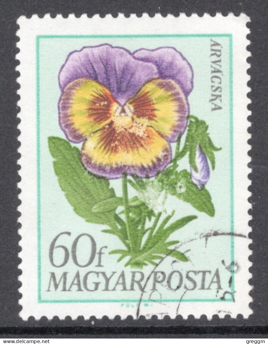 Hungary 1968  Single Stamp Celebrating Garden Flowers In Fine Used - Used Stamps