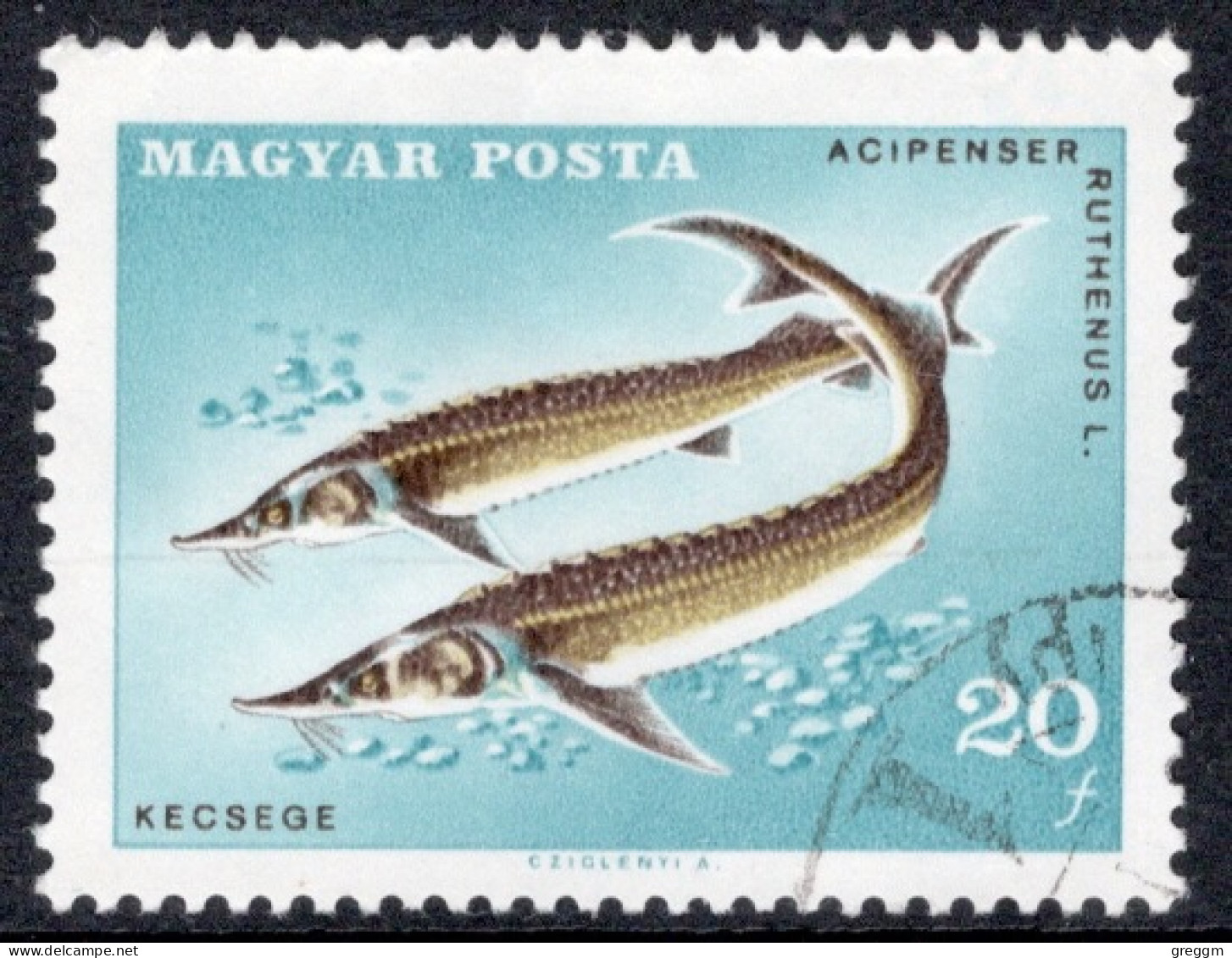 Hungary 1967  Single Stamp Celebrating The 14th Congress Of International Federation Of Anglers - CIPS In Fine Used - Used Stamps