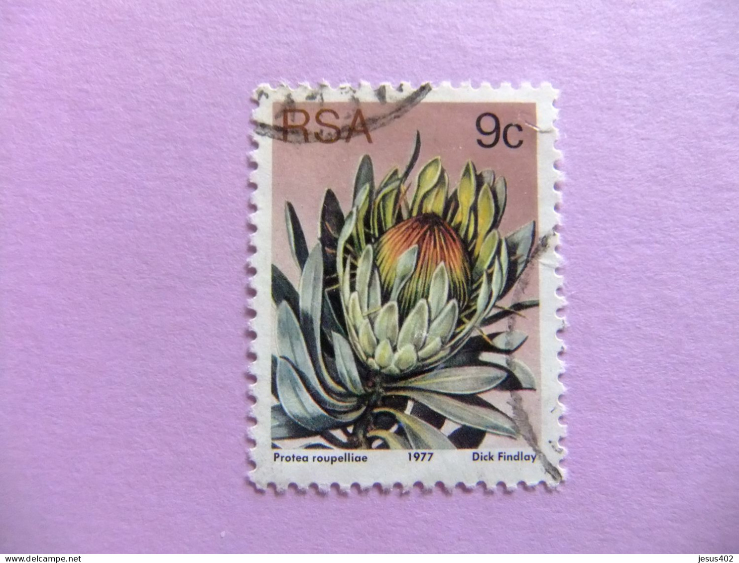48 AFRICA DEL SUR / RSA 1977 / FLOR PROTEA ROUPELLIAE / YVERT 524 FU - Used Stamps