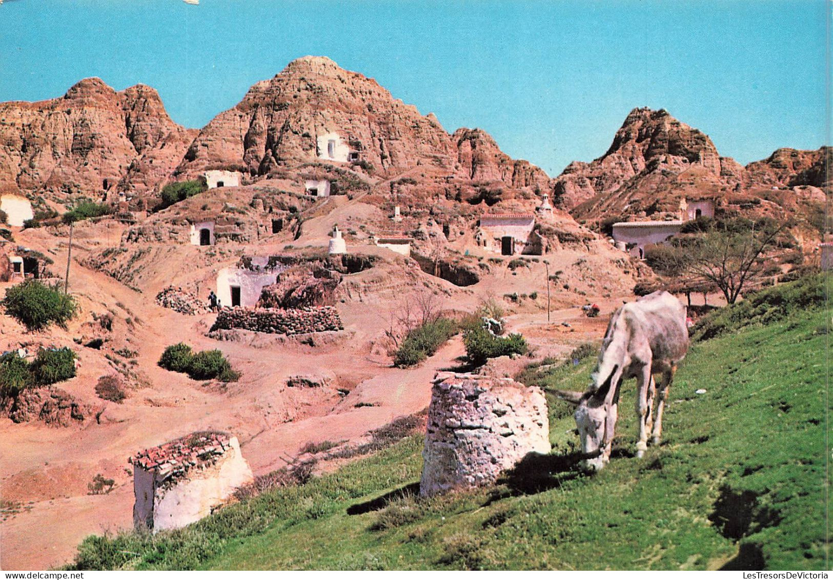 ANIMAUX & FAUNE - Anes - Granada - Série 45 N149 - Cuevas - Les Cavernes - Carte Postale Ancienne - Anes