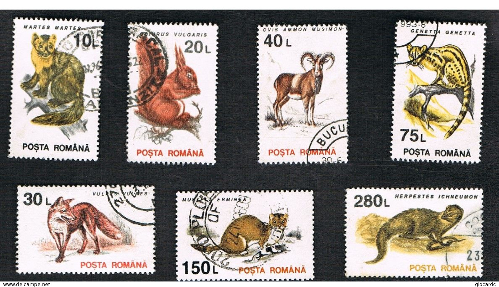 ROMANIA - SG 5533.5542  - 1995  CURRENT SERIE: ANIMALS   (7 STAMPS OF THE SET  ON WHITE PAPER)  - USED ° - Usati
