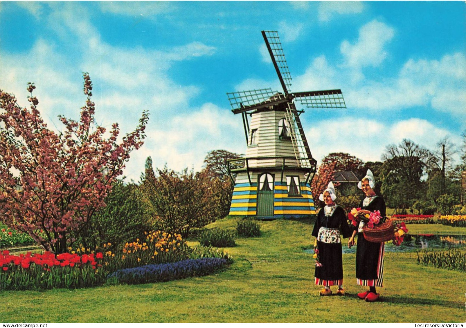ETATS-UNIS - Holland - Bloemenland - Molenland - Land Of Flowers And Wind Mills  - Carte Postale Ancienne - Autres & Non Classés