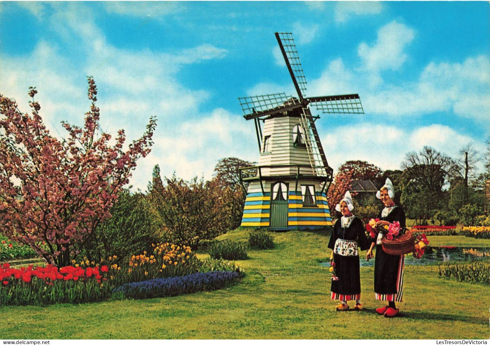 ETATS-UNIS - Holland - Bloemenland - Molenland - Land Of Flowers And Wind Mills  - Carte Postale Ancienne - Otros & Sin Clasificación