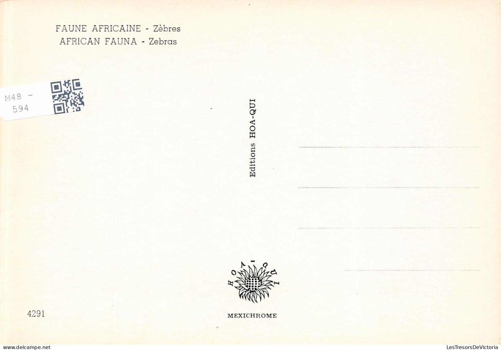ANIMAUX & FAUNE - Zèbres - Faune Africaine - Zèbres - Deux Zèbres Dans La Nature - Carte Postale Ancienne - Zebra's