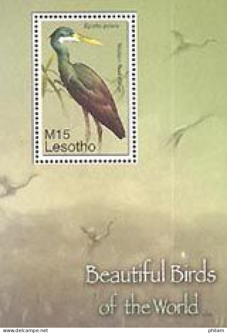 LESOTHO 2007 - Oiseaux - II - Héron Des Rivages - BF - Lesotho (1966-...)