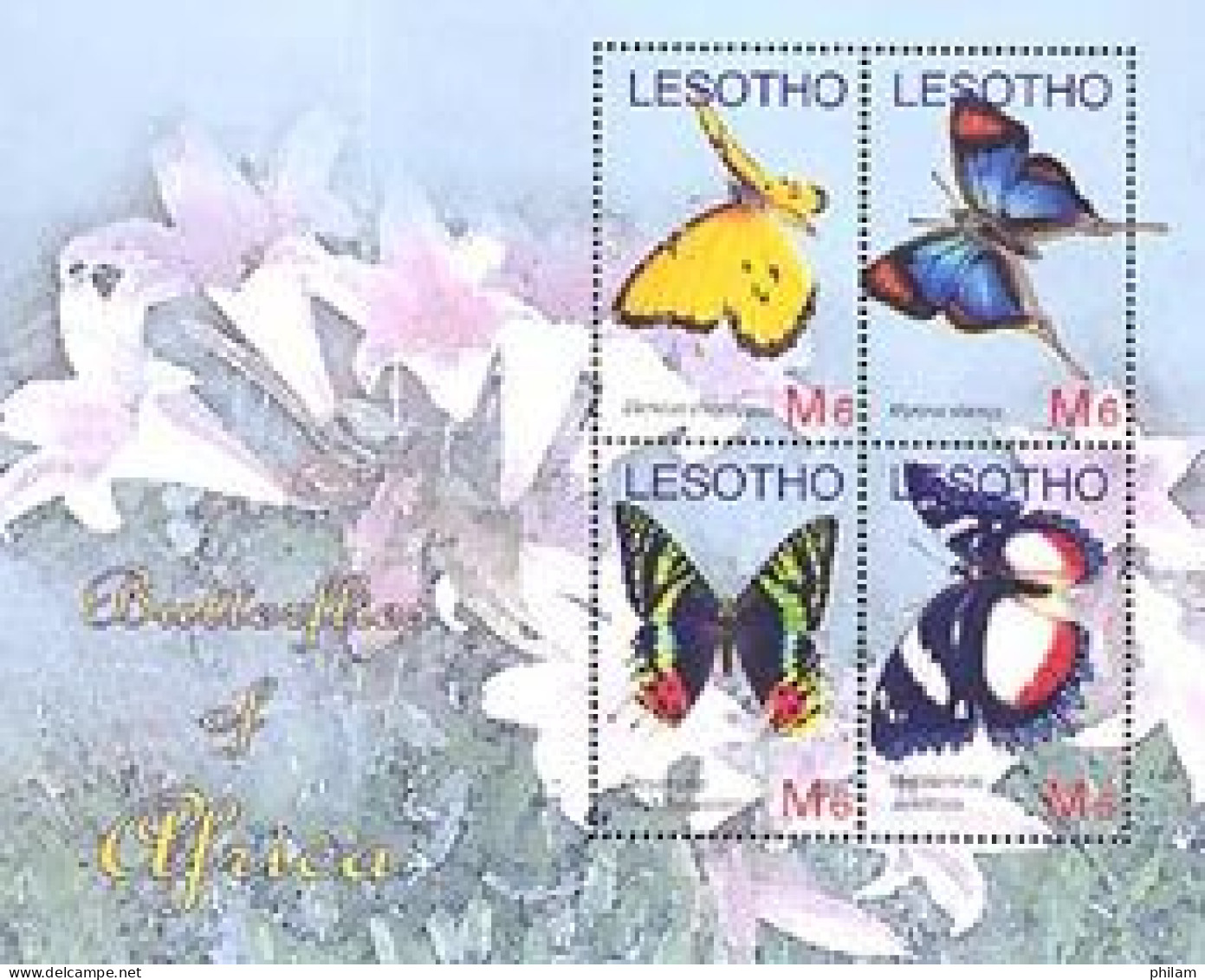 LESOTHO 2007 - Papillons (Danaus Chrysippus) - 4 Timbres émis En Feuillet - Lesotho (1966-...)