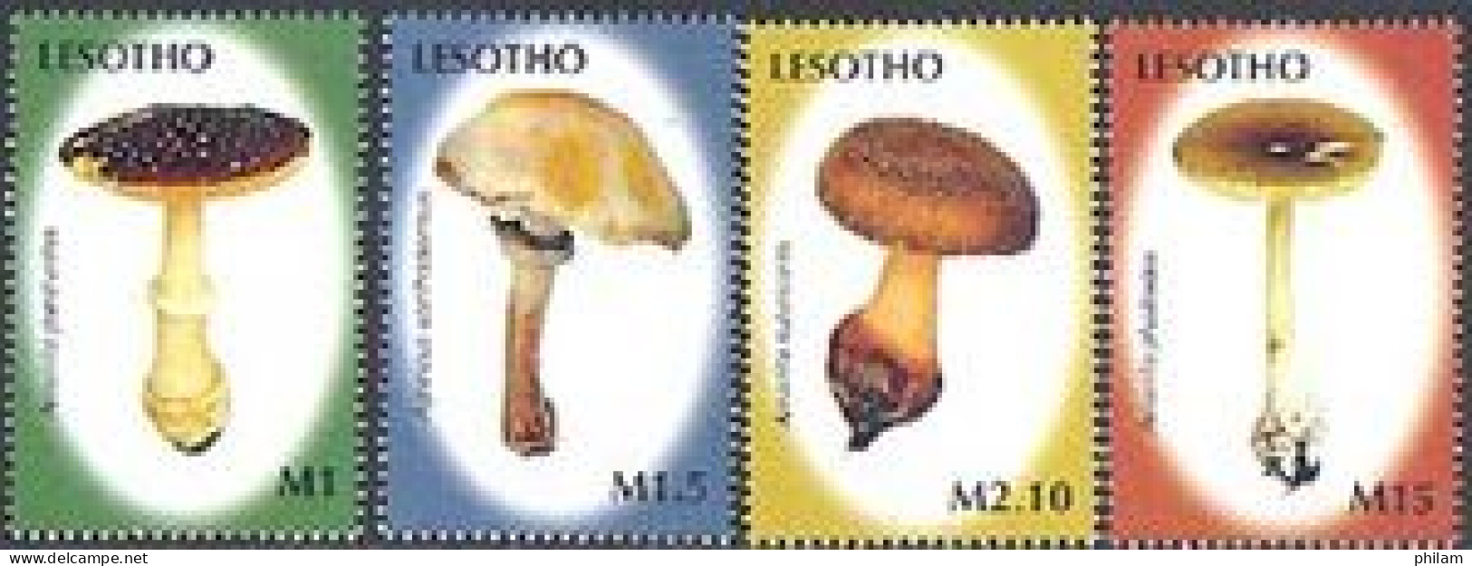 LESOTHO 2007 - Champignons D'afrique - 4 V. - Lesotho (1966-...)