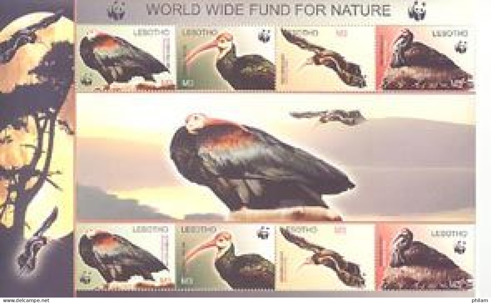 LESOTHO 2004 - W.W.F. - Southern Bald Ibis - Bloc De 2 Séries - Lesotho (1966-...)