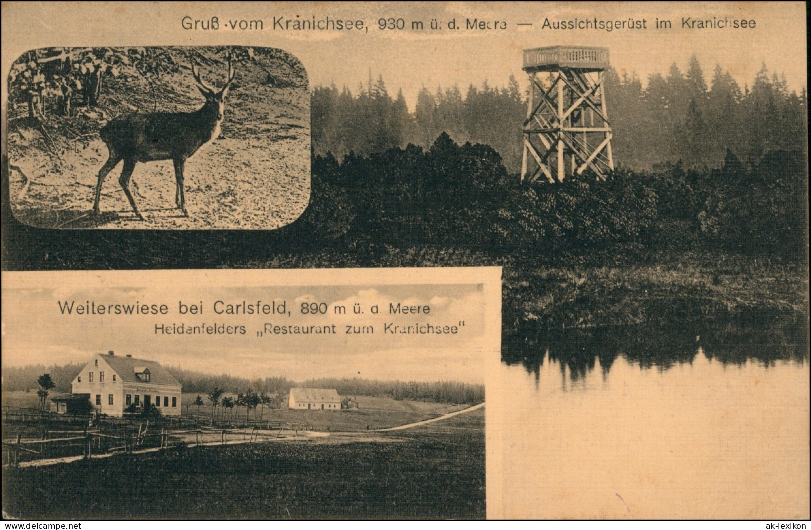 Carlsfeld-Eibenstock Weiterswiese Gasthaus, Kranichsee 3 Bild 1919 - Eibenstock
