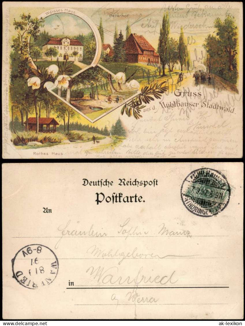 Litho AK Mühlhausen (Thüringen) Gruss Aus... Stadtwald Mit Peterhof 1897 - Muehlhausen