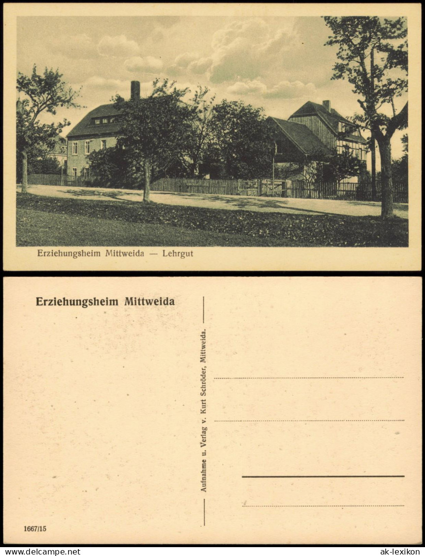 Ansichtskarte Mittweida Erziehungsheim Mittweida Lehrgut 1928 - Mittweida