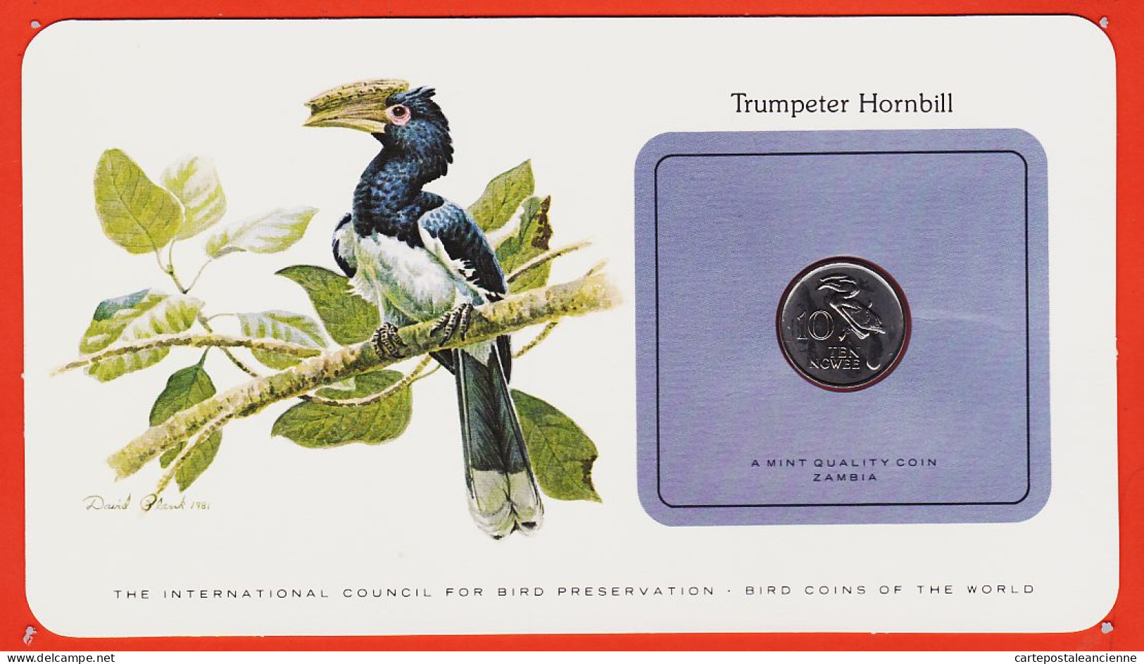 38001 / ⭐ ZAMBIA 10 Ten Ngwee Trumpeter Hornbill ZAMBIE Calao Rieur Oiseaux Monde Bird Coins World Preservation - Zambie