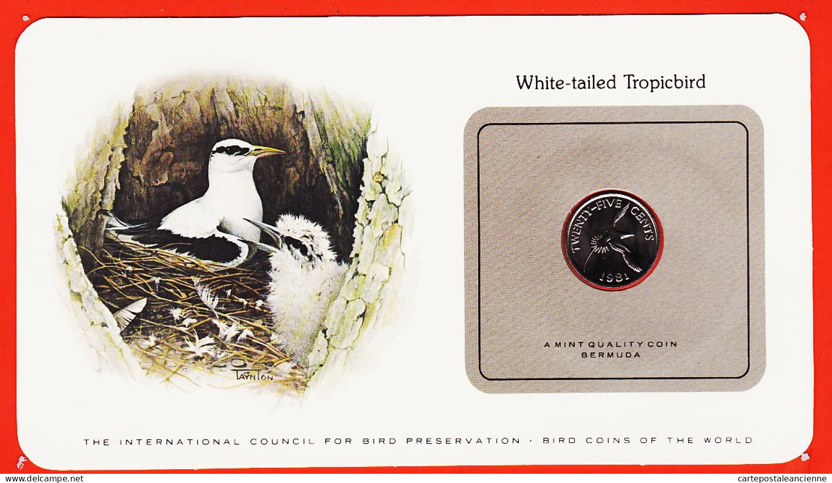 38029 / ⭐ BERMUDA Twenty-Five 25 Cents 1981 White-Tailed Tropicbird BERMUDES Phaeton Jaune Oiseaux Monde Bird Coins - Bermudes