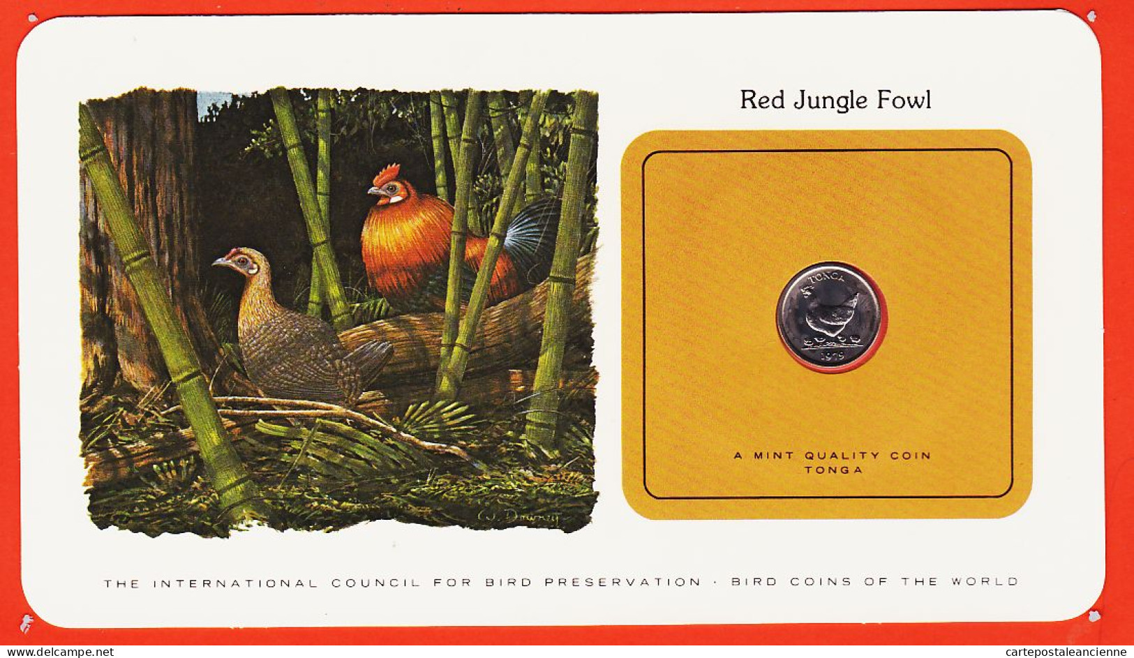 38012 / ⭐ TONGA 5 Seniti 1979 Red Jungle Fowl COQ Rouge Sauvage  Oiseaux Monde Bird Coins World Preservation - Tonga