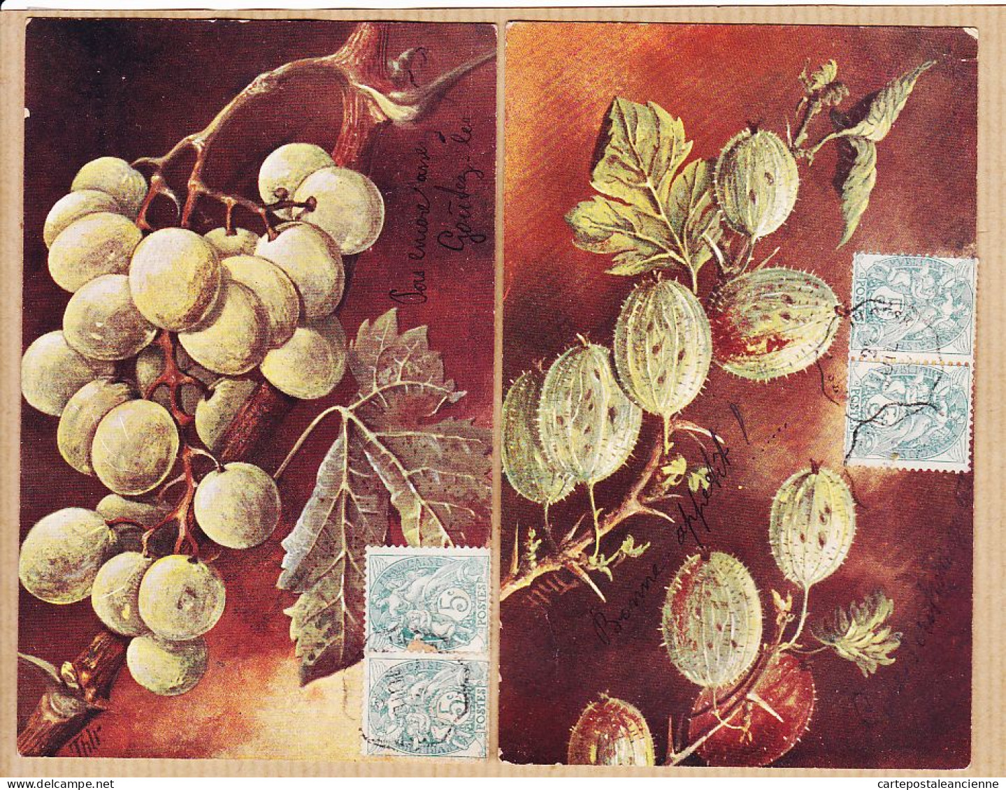 38405 / ⭐ Rare Lot X2 Illustration THLR Raisin + Fruits à Coque 1903 à GAYREL Chez LARIGUIER Réalmont -B.K.W.I 757-1 , 2 - Árboles