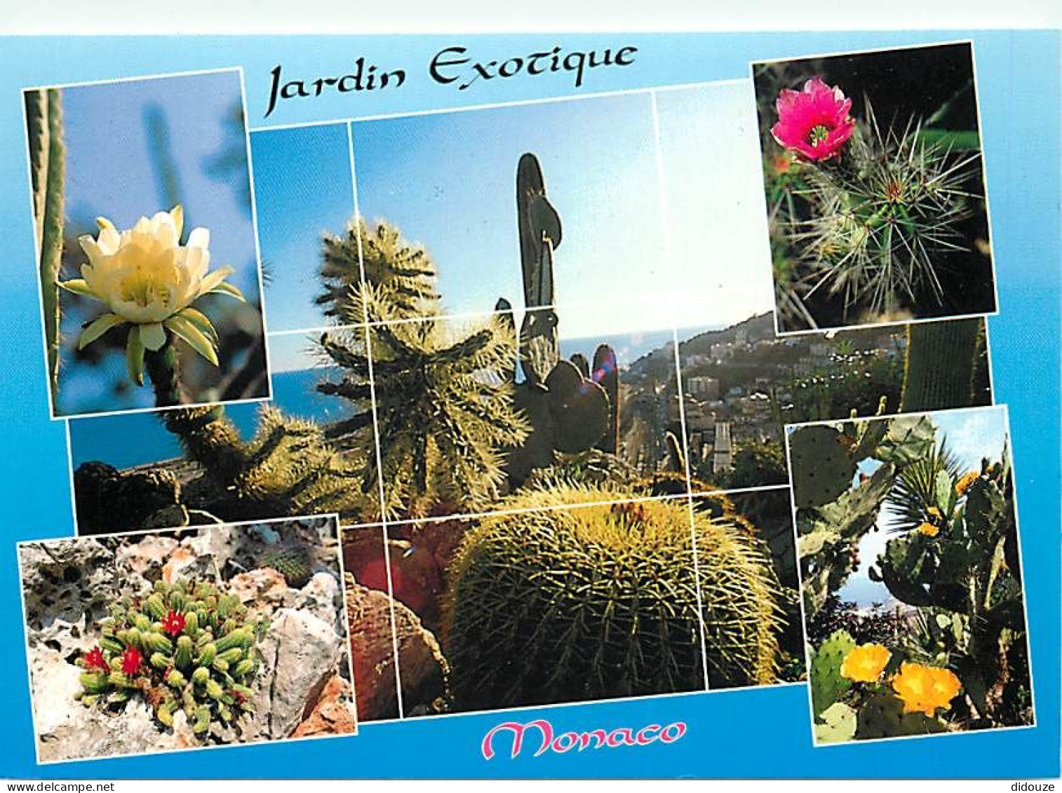 Fleurs - Plantes - Cactus - Principauté De Monaco - Le Jardin Exotique - Multivues - CPM - Voir Scans Recto-Verso - Cactusses