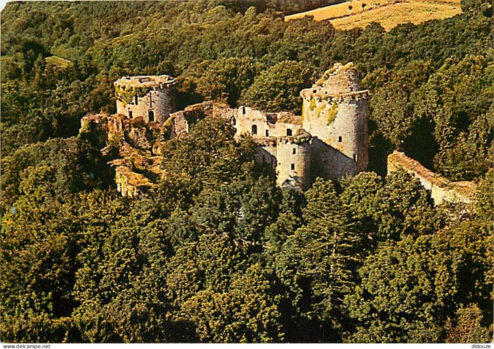 22 - Tonquédec - Les Ruines Du Château - Vue Aérienne - CPM - Etat Croquée En Haut à Gauche - Voir Scans Recto-Verso - Tonquédec