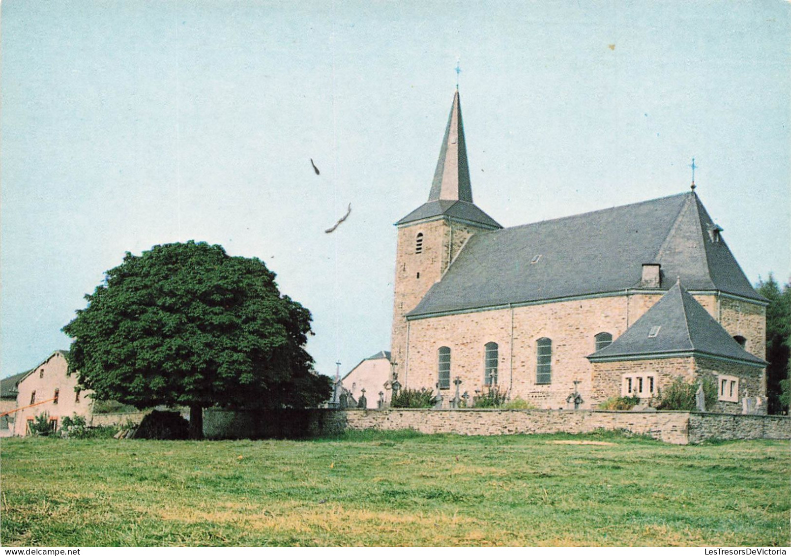 BELGIQUE - Florenville - Gouvy - L'Eglise - Pré Vert - Carte Postale - Florenville