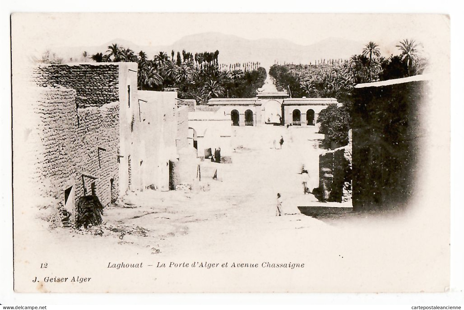 34188 /⭐ LAGHOUAT Avenue CHASSAIGNE Porte ALGER 1890s GEISER 12 Algérie Algeria Algerien Argelia Algerije - Laghouat