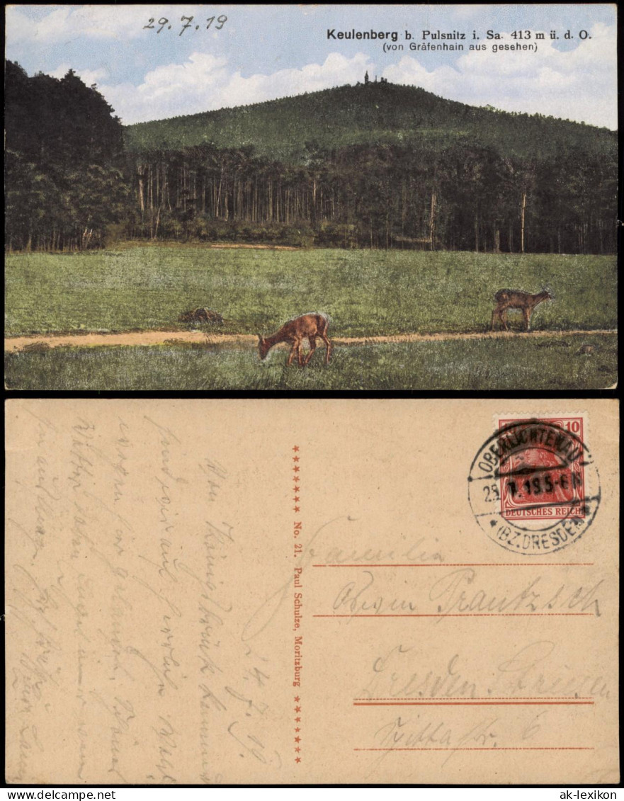 Ansichtskarte Pulsnitz Połčnica Keulenberg Von Gräfenhain 1919 - Pulsnitz