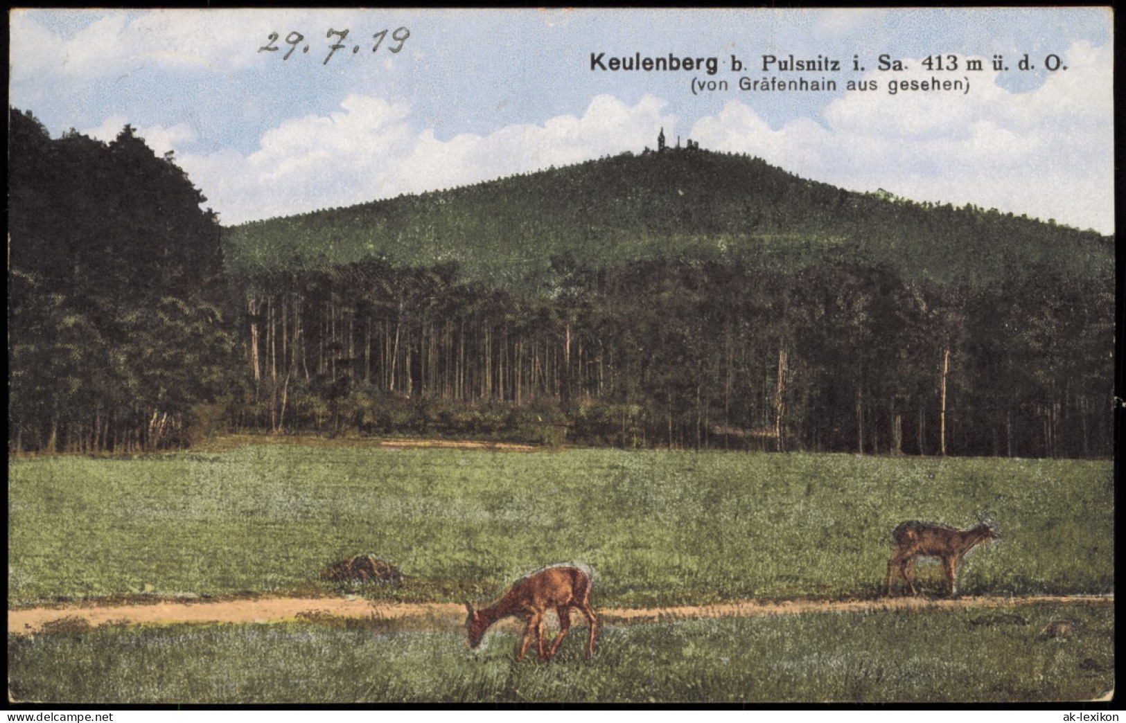 Ansichtskarte Pulsnitz Połčnica Keulenberg Von Gräfenhain 1919 - Pulsnitz