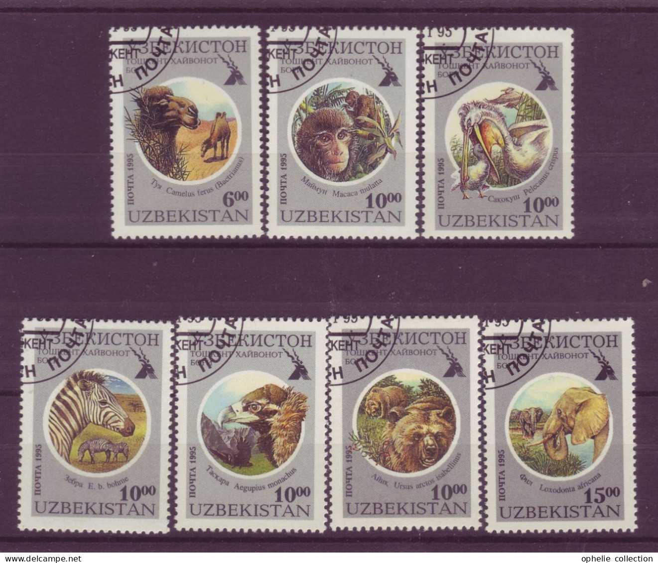 Asie - Uzbekistan - Faune - 7 Timbres Différents - 6838 - Uzbekistán