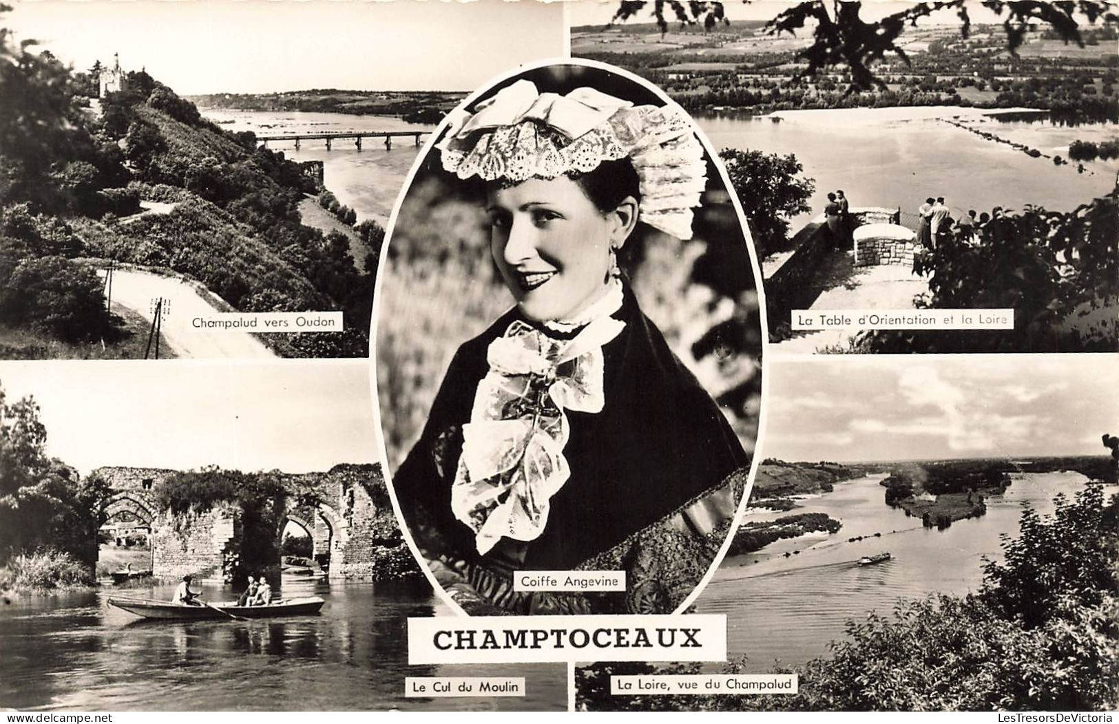 FRANCE - Champtoceaux - La Table D'Orientation Et La Loire - Le Cul Du Moulin - La Loire - Carte Postale - Champtoceaux