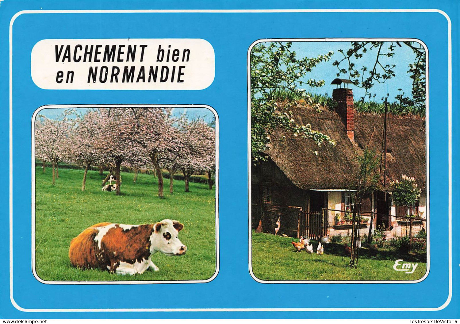 ANIMAUX & FAUNE - Vaches - Vachement Bien En Normandie - Normandie Pittoresque - Carte Postale Ancienne - Koeien