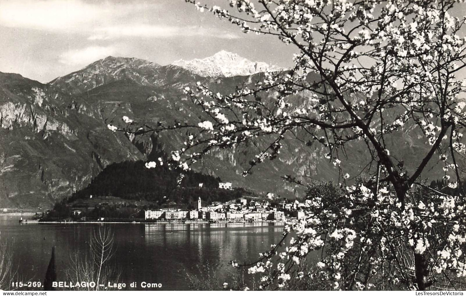 ITALIE - Bellago - Lago Di Como - Fleurs - Carte Postale - Como