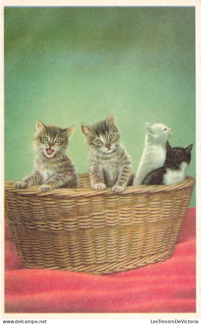 ANIMAUX & FAUNE - Chats - Quatre Petits Chatons Dans Un Panier - Carte Postale Ancienne - Gatos