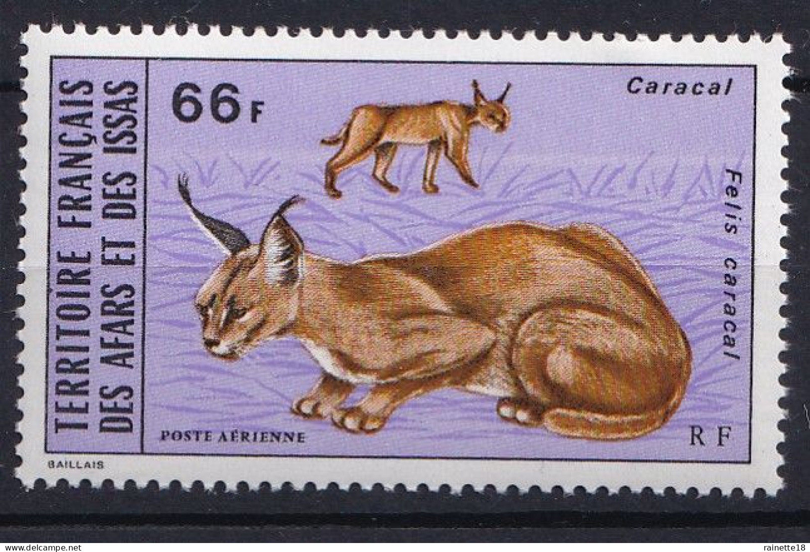 Afars Et Issas         PA 82  ** Caracal - Unused Stamps
