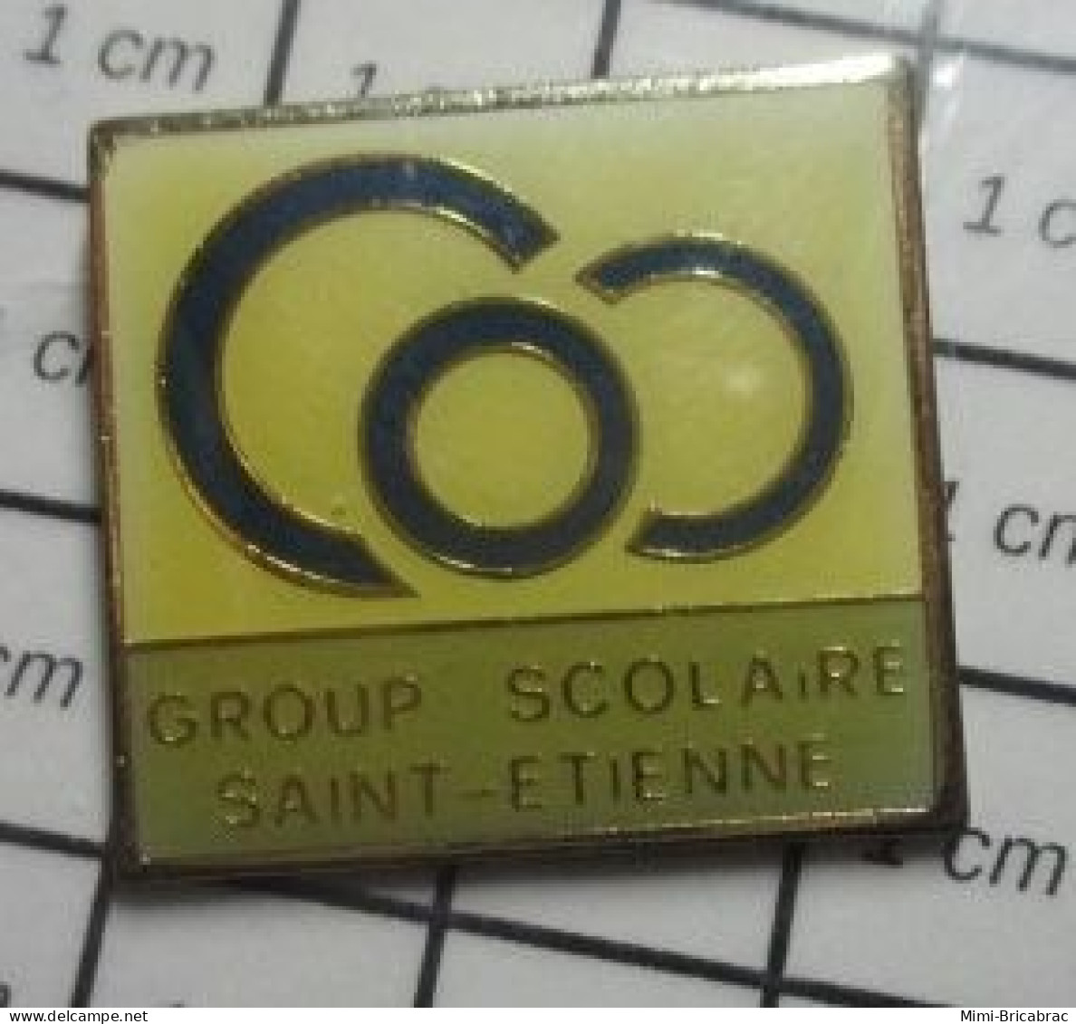 511C  Pin's Pins / Beau Et Rare / ADMINISTRATIONS / GROUP (sic !) SCOLAIRE SAINT-ETIENNE - Administrations