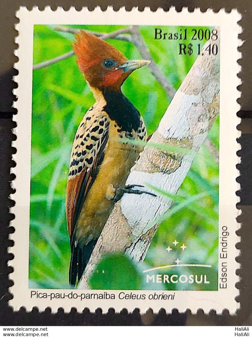 C 2767 Brazil Stamp Mercosul Autochtonous Fauna Bird Woodpecker Moon 2008 - Unused Stamps