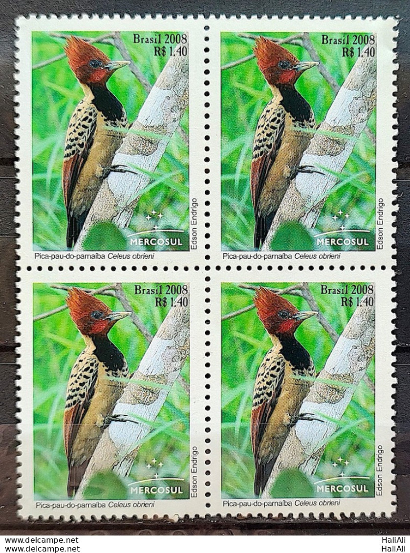 C 2767 Brazil Stamp Mercosur Autochtonous Fauna Bird Woodpecker Moon 2008 Block Of 4 - Unused Stamps