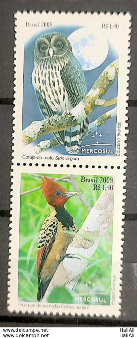 C 2766 Brazil Stamp Mercosur Autochtonous Fauna Bird Owl Woodpecker Moon 2008 Setenant Vertical - Unused Stamps