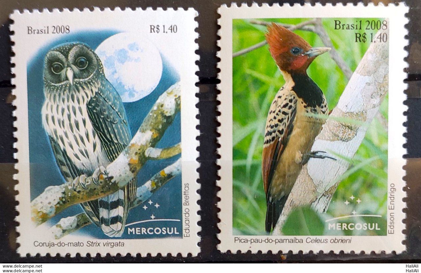 C 2766 Brazil Stamp Mercosur Autochtonous Fauna Bird Owl Woodpecker Moon 2008 Complete Series - Unused Stamps