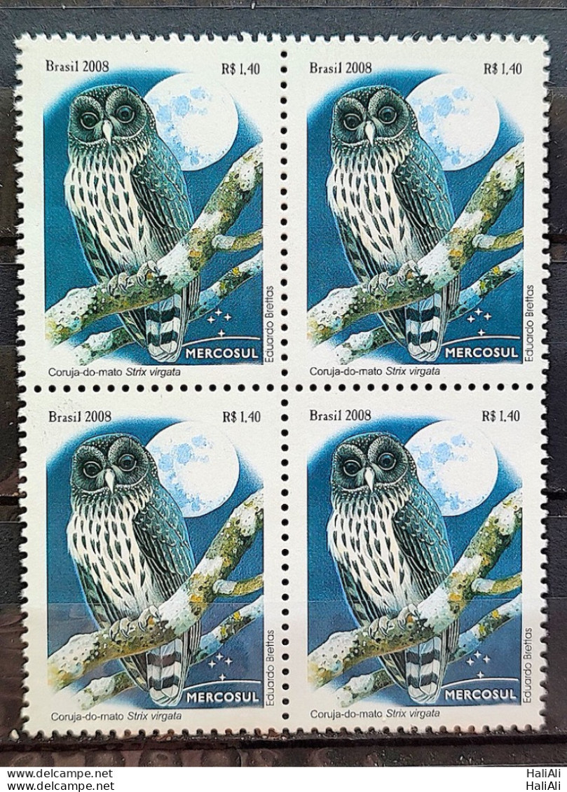 C 2766 Brazil Stamp Mercosur Autochtonous Fauna Bird Owl Moon 2008 Block Of 4 - Unused Stamps