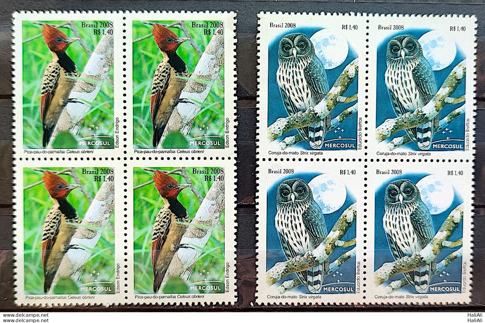 C 2766 Brazil Stamp Mercosur Autochtonous Fauna Bird Owl Woodpecker Moon 2008 Block Of 4 Complete Series - Unused Stamps