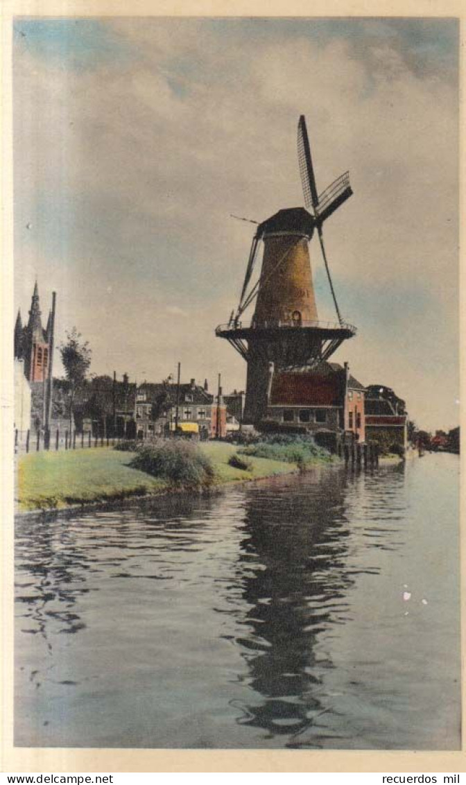 Delft Molen De Roos - Delft