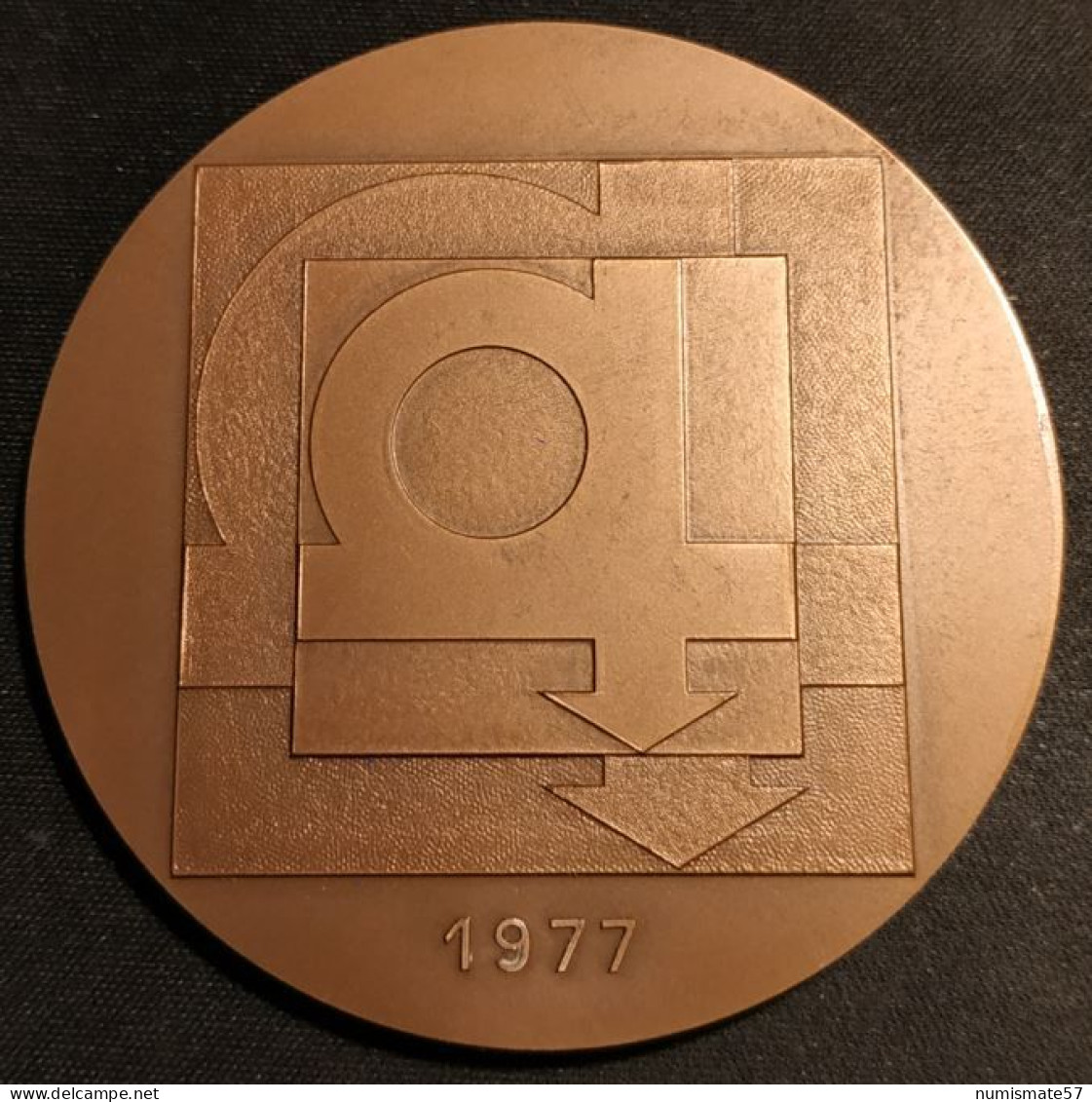 Médaille En Bronze - REVETO - 50ème Anniversaire 1927 - 1977 - ( Travaux Publics ) - Professionnels / De Société